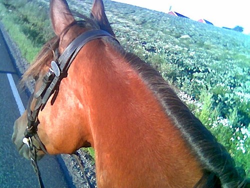på ridetur